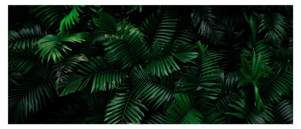 Kép - trópusi páfrány (120x50 cm)