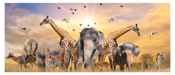 Kép - Afrikai állatok (120x50 cm)