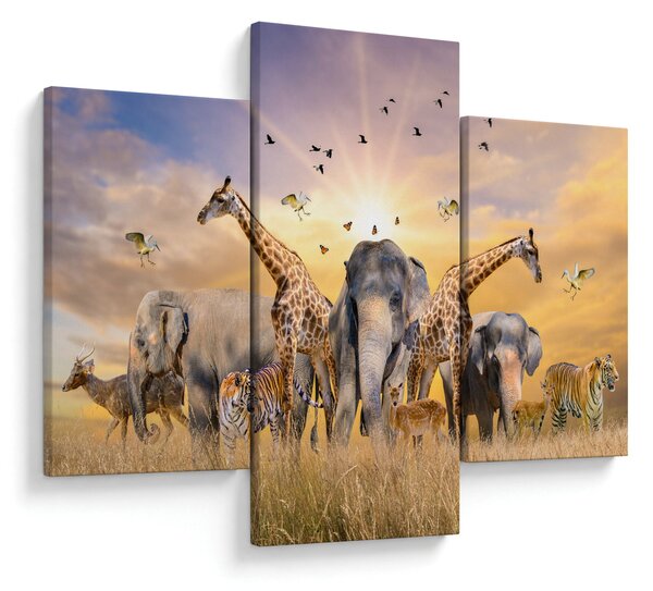 Kép - Afrikai állatok (90x60 cm)