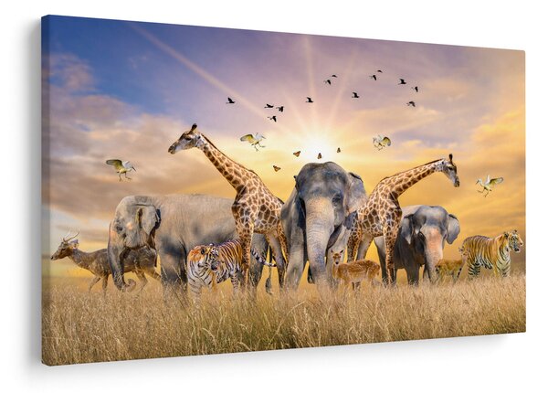 Kép - Afrikai állatok (90x60 cm)