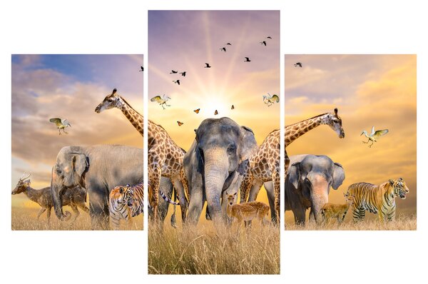 Kép - Afrikai állatok (90x60 cm)