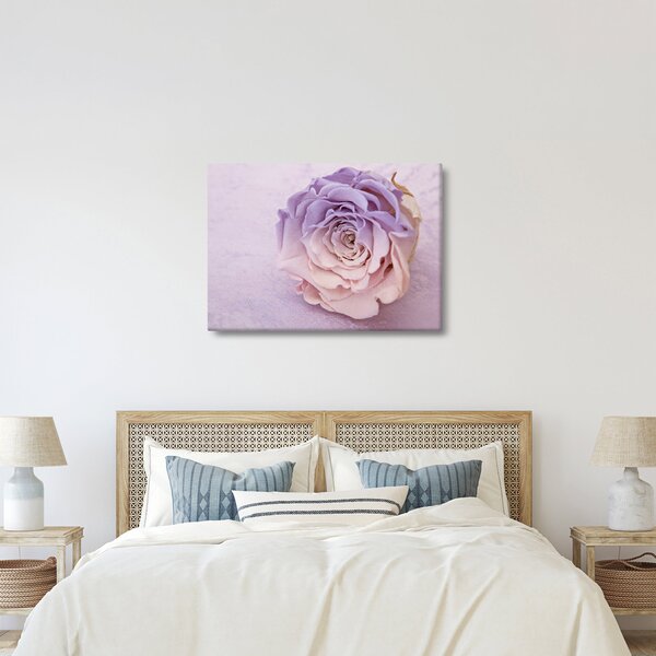Egy rózsa virág részlete (70x50 cm)