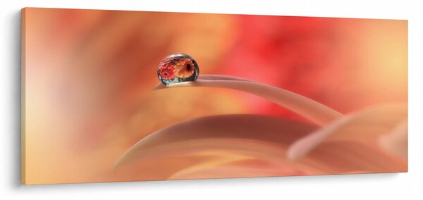 Virágos harmatcsepp képe (120x50 cm)