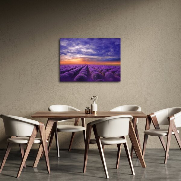 Egy levendula mező képe (70x50 cm)