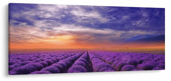 Egy levendula mező képe (120x50 cm)