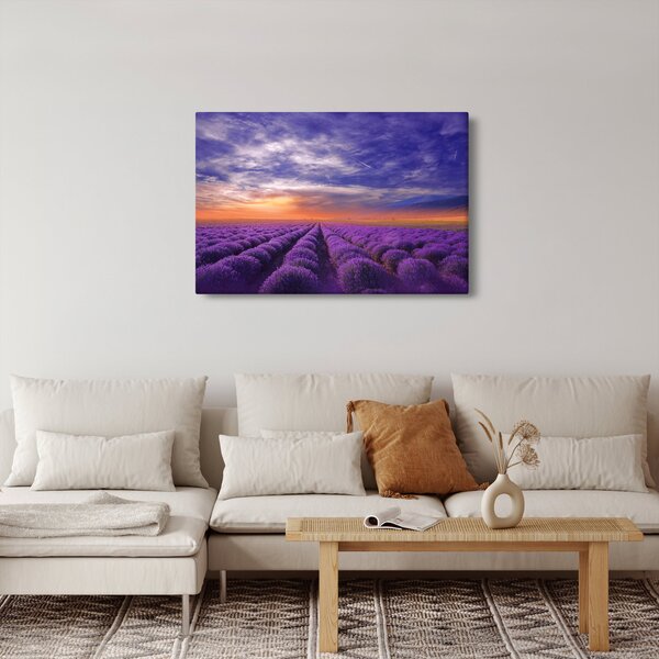 Egy levendula mező képe (90x60 cm)