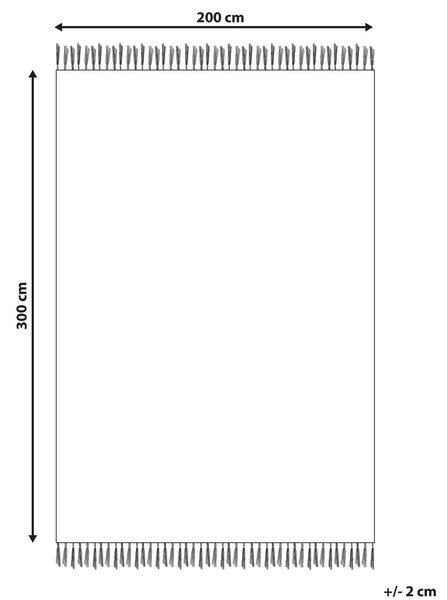 Szőnyeg APARAN Bézs 200 x 300 cm Pamut Kilim