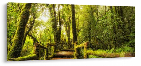 Mohás dzsungel képe (120x50 cm)