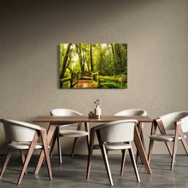 Mohás dzsungel képe (90x60 cm)