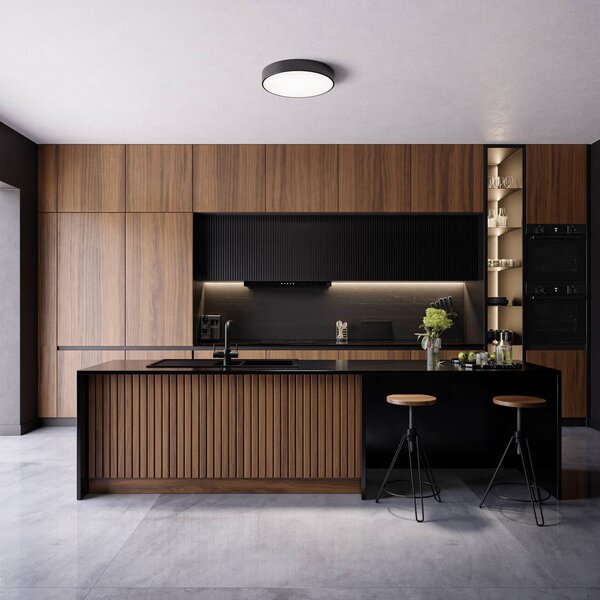 TEMAR LIGHTING Cleo mennyezeti világítás, Ø 50 cm, IP20, fekete, fém, E27, dimmelhető, Fekete, Nappali / Étkező, Modern