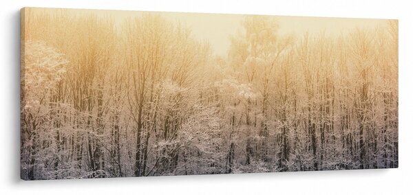 Fagyos erdő képe (120x50 cm)