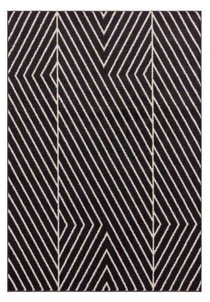 Fekete-fehér szőnyeg 160x230 cm Muse – Asiatic Carpets