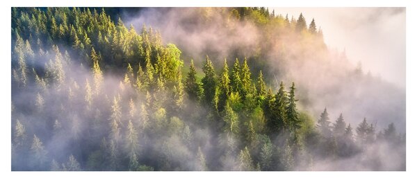 Egy hegyi táj képe (120x50 cm)