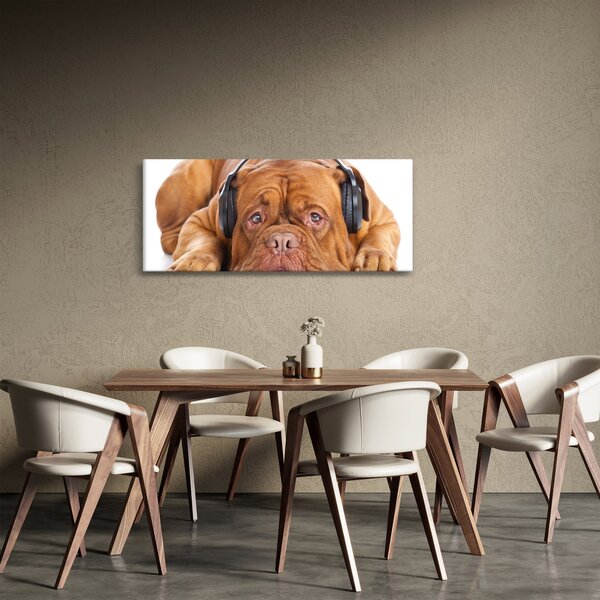 Kép egy kutya fejhallgatóval (120x50 cm)