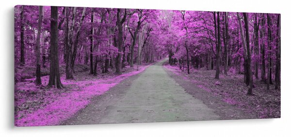Kép - Út a parkon (120x50 cm)