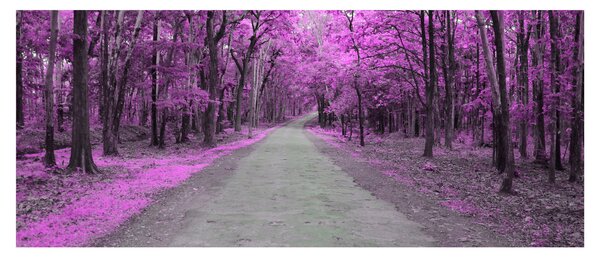 Kép - Út a parkon (120x50 cm)