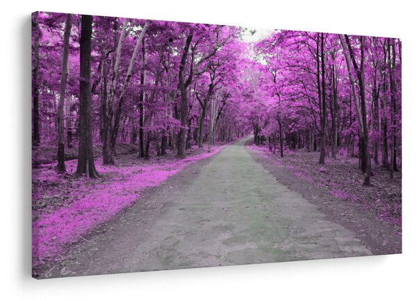 Kép - Út a parkon (90x60 cm)