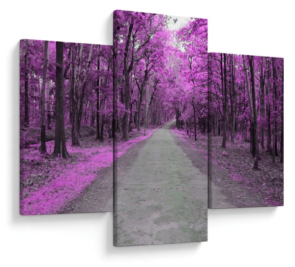 Kép - Út a parkon (90x60 cm)