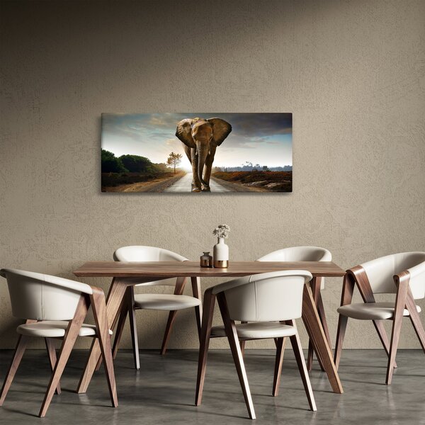 Elefánt képe (120x50 cm)