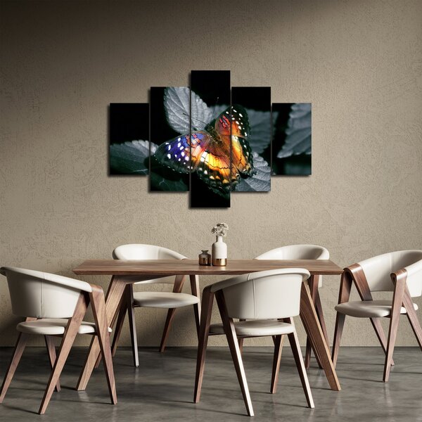 Pillangó képe (150x105 cm)
