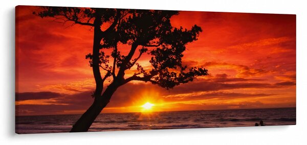 Kép - Naplemente (120x50 cm)