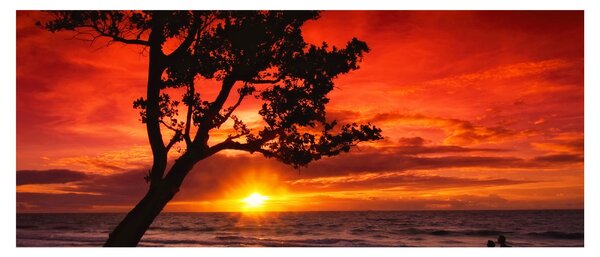 Kép - Naplemente (120x50 cm)