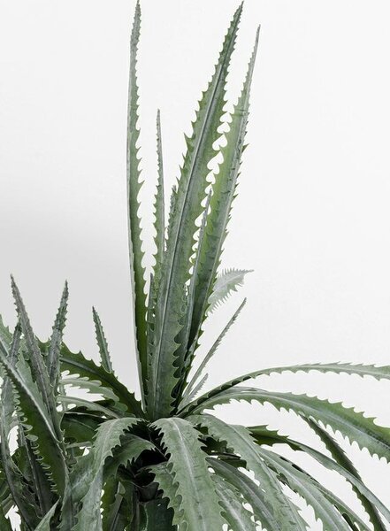 Kare Design Dragon Tree műnövény 155 cm zöld karbantartásmentes