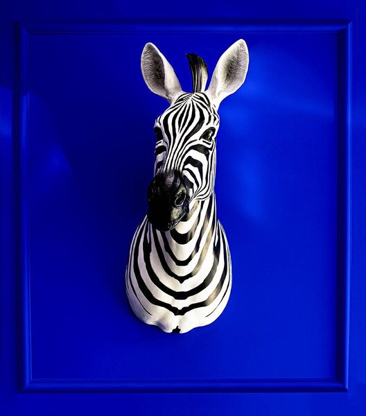 KARE Design Zebra Műgyanta Fali Dekoráció Fekete-Fehér