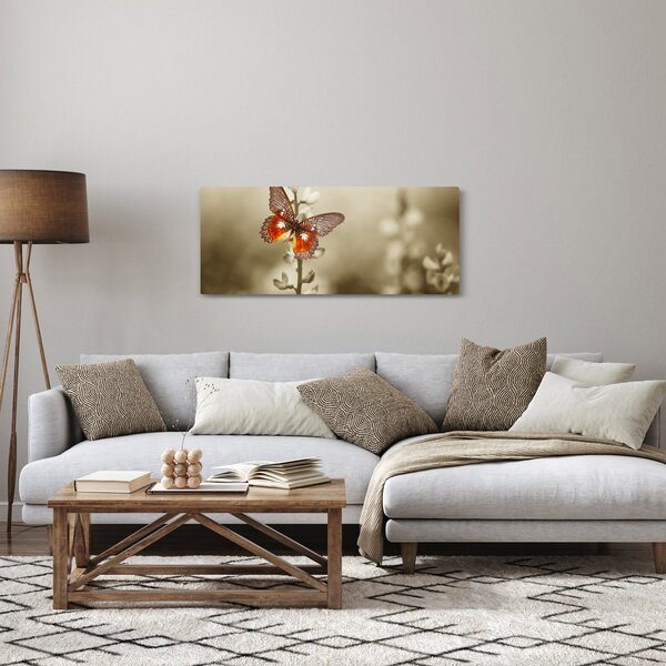 Pillangó képe (120x50 cm)