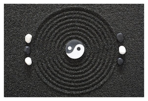 Kép - Yin és Yang (90x60 cm)