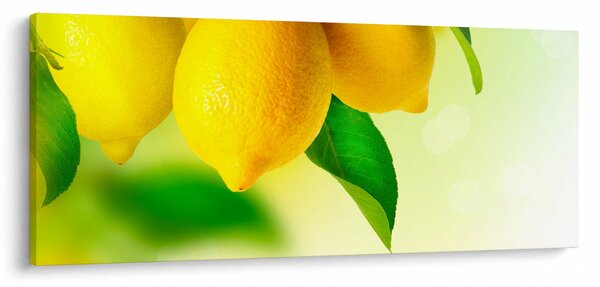 A citrom képe (120x50 cm)