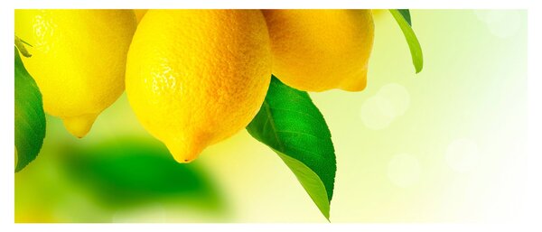 A citrom képe (120x50 cm)