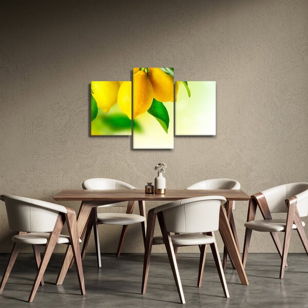 A citrom képe (90x60 cm)