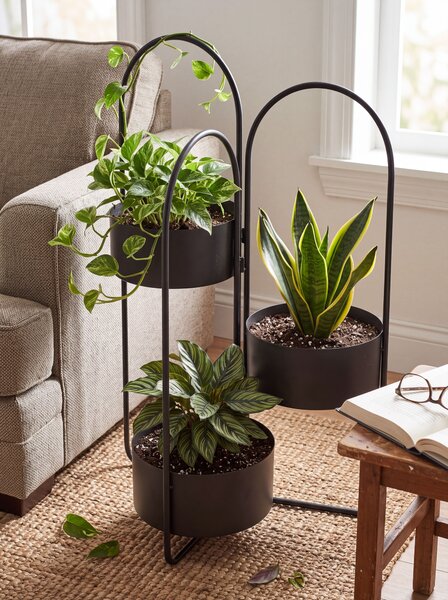 Virágállvány COLUTENA 56 cm Fém Fekete