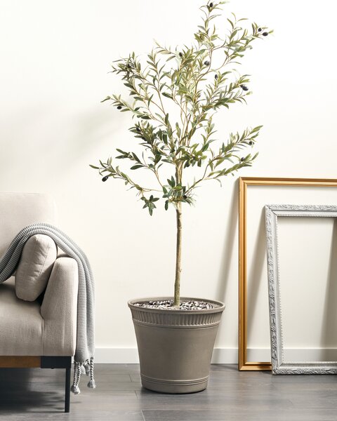 Virágcserép CISTUS 44 cm Szürke