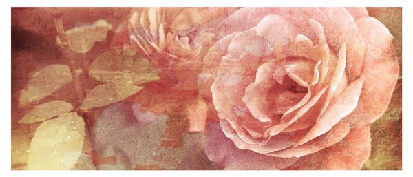 Rózsák képe (120x50 cm)