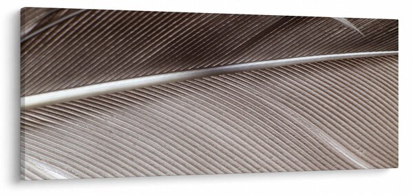 Absztrakt kép szálak (120x50 cm)