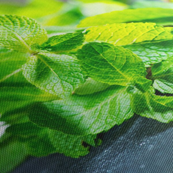 A menta képe (120x50 cm)