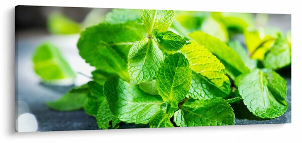 A menta képe (120x50 cm)