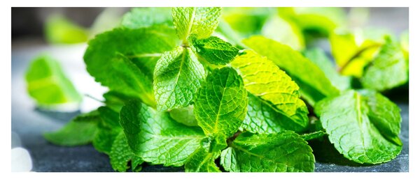 A menta képe (120x50 cm)