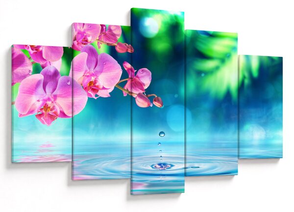 Kép - Orchidea (150x105 cm)