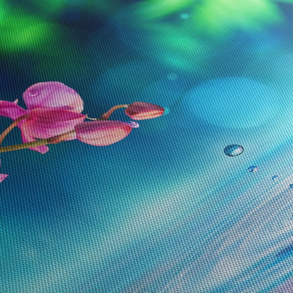 Kép - Orchidea (70x50 cm)