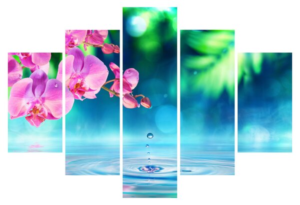 Kép - Orchidea (150x105 cm)