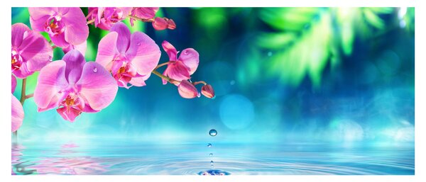 Kép - Orchidea (120x50 cm)