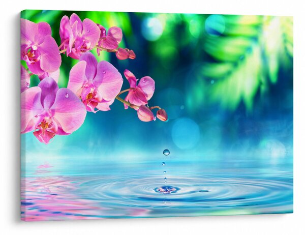 Kép - Orchidea (70x50 cm)