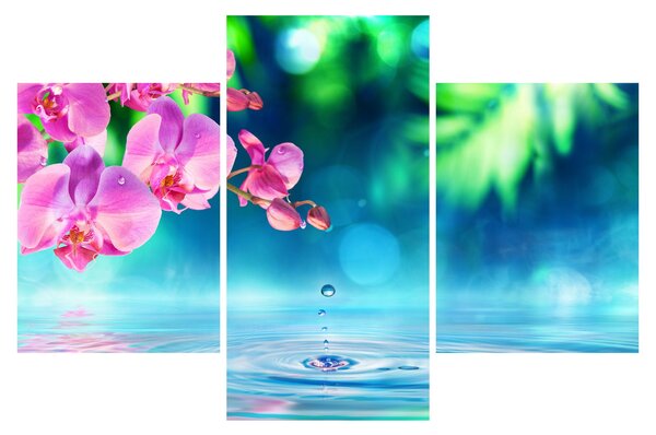 Kép - Orchidea (90x60 cm)