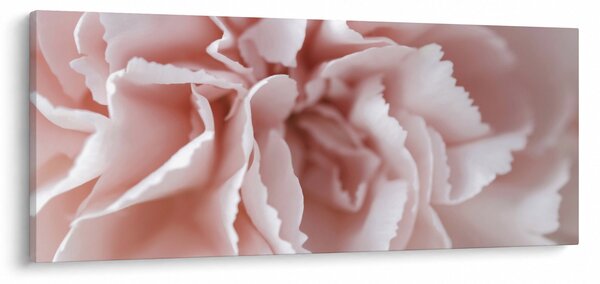 Kép - Virág részlete (120x50 cm)