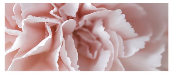Kép - Virág részlete (120x50 cm)