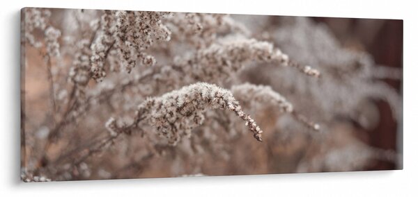 A növények képe (120x50 cm)