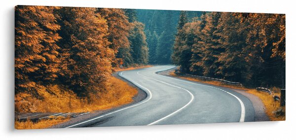 Kép - Kanyargós út (120x50 cm)